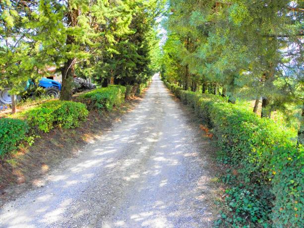 Agriturismo a Gubbio immerso nella natura 