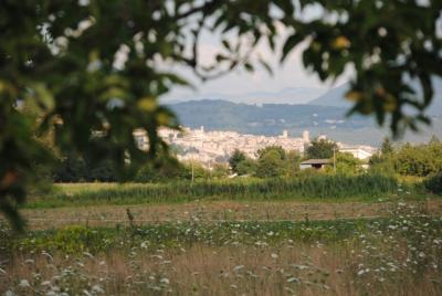 Vista panoramica su Spello 