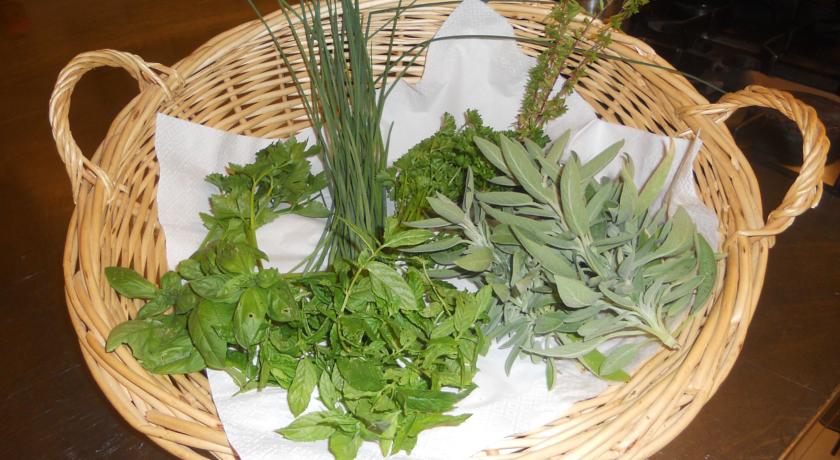 Prodotti coltivati nell'orto dell'agriturismo