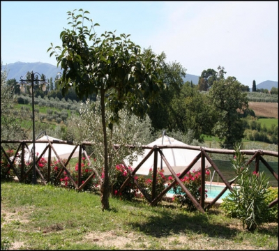 Giardino e vista piscina 