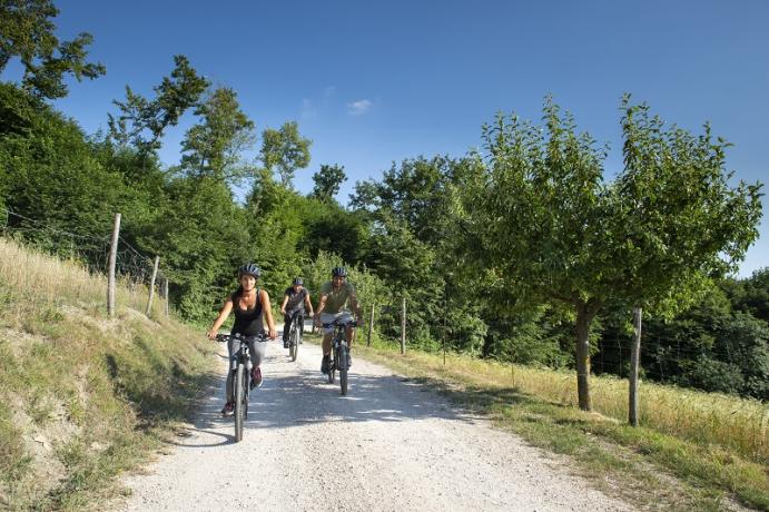 Possibilità di escursioni in Mountain Bike Umbria Gubbio