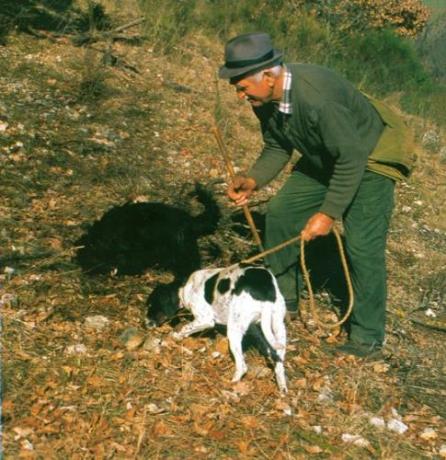 Organizzazione ricerca del Tartufo Hotel Norcia