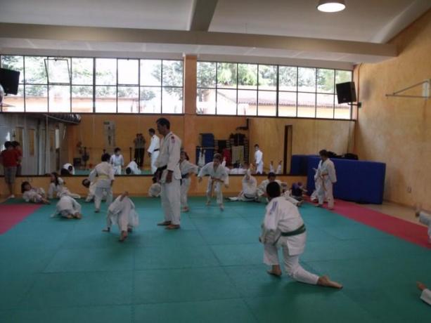 Palestra interna