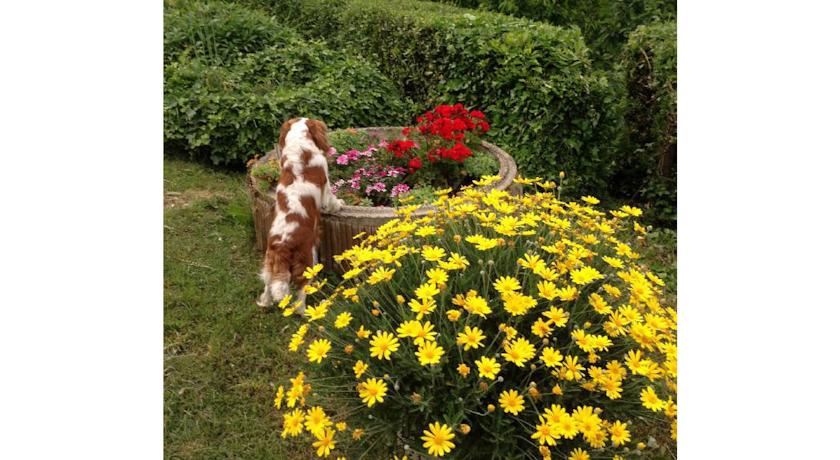 giardino appartamenti terni I Dolci Alberi