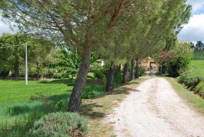 Possibilità di Equitazione nelle vicinanze