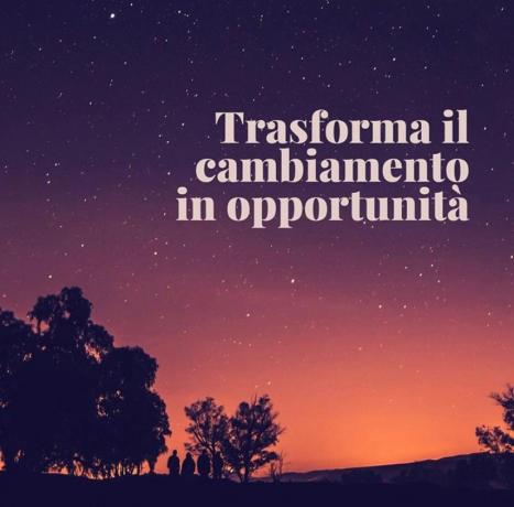 IMPERYA srl: Trasforma il Cambiamento in Opportunita