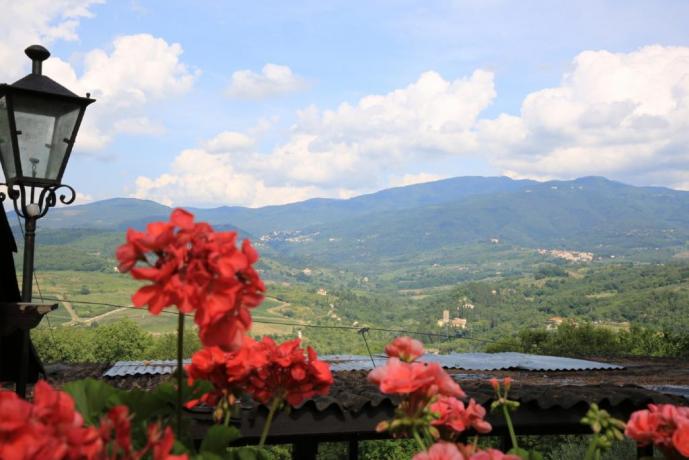 Il panorama