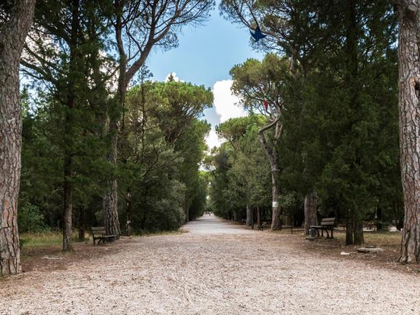 Viale d'Ingresso dell'Hotel