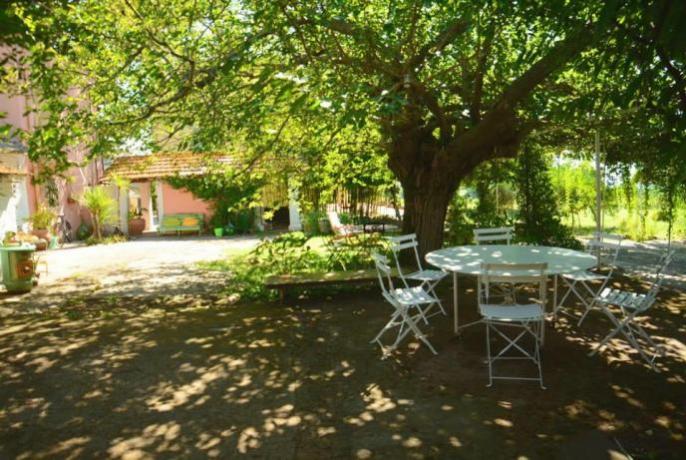 Area esterna B&B vicino Roma ideale per relax