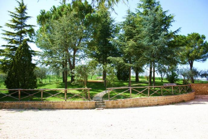 La pineta