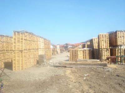 Trasporto legno per camino, stufa e barbecue