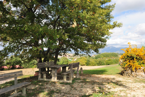 Casolare in affitto in autogestione con Giardino 