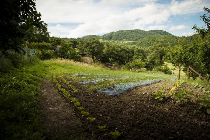 Orto dell'agriturismo a Gubbio