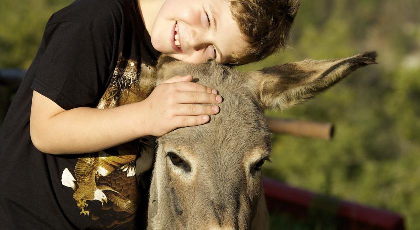 Cura degli Animali Agriturismo Olistico del Benessere 