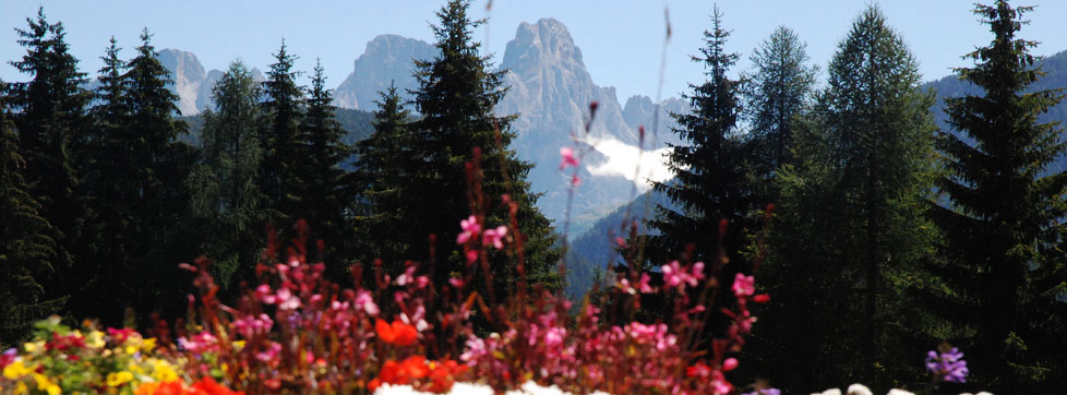 Hotel Benessere sulle Dolomiti. Bellamonte, Trento