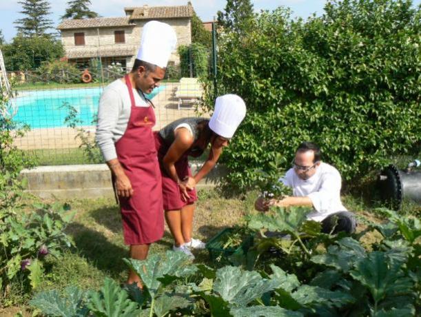 Corso di Cucina e di coltivazione orto Biologico