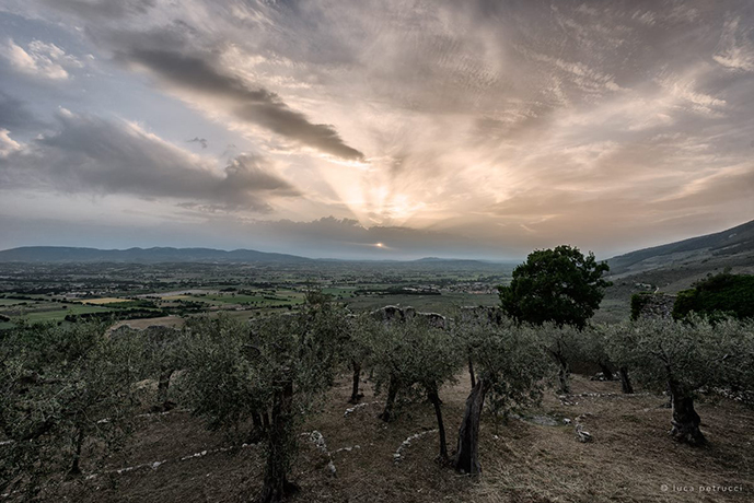 Suite con vista Panoramica in Castello Spoleto