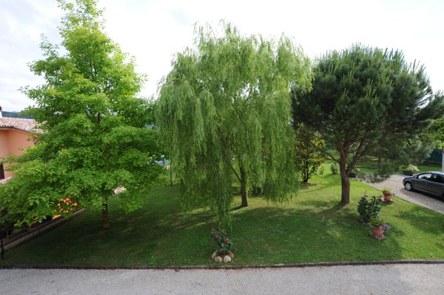 vista sul giardino dell'agriturismo appartamento Quercia Rossa 