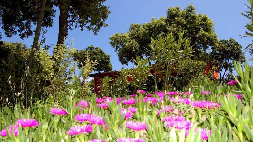 Lago Liscia ideale vacanze Relax e Non Resort4stelle