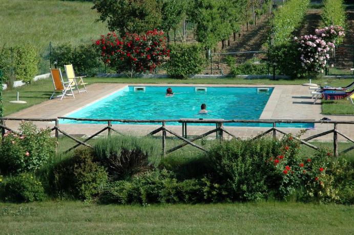 Piscina per adulti e Bambini in Agriturismo Umbria