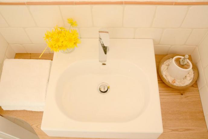 Lavandino con vaso fiori B&B vicino alla Capitale