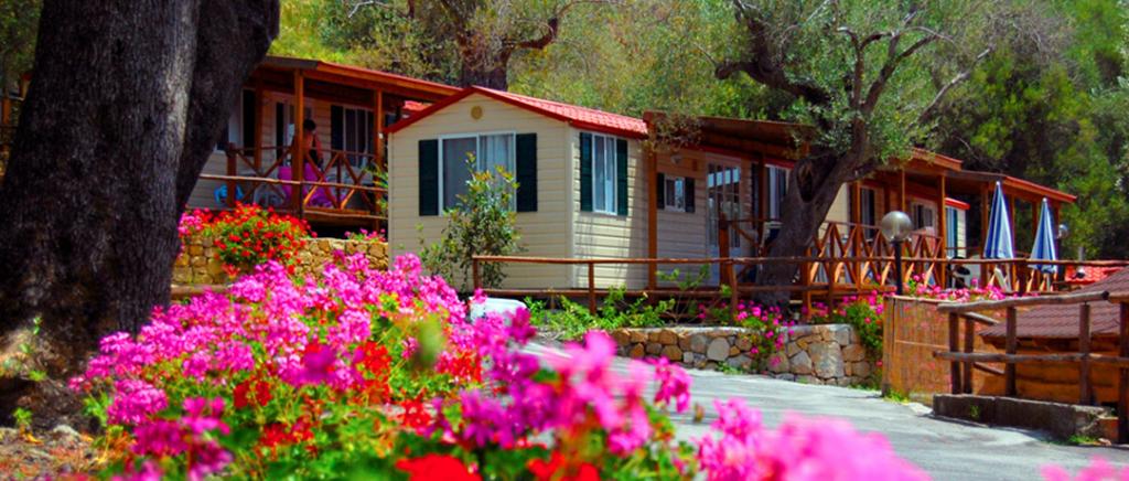 Villaggio con Bungalows e Piscina nel Cilento