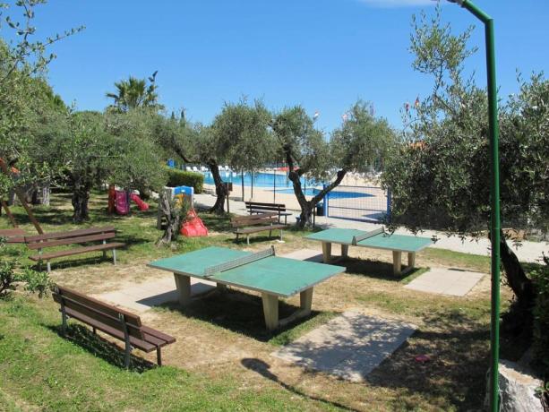 Villaggio turistico Impianti-sportivi silvi-marina 