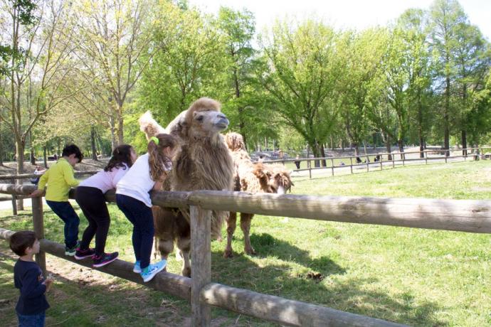 Hotel vicino Leo Wild Park Umbria