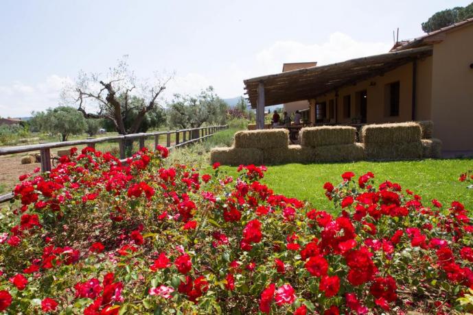 Giardino del Residence, camere e appartamenti vacanza
