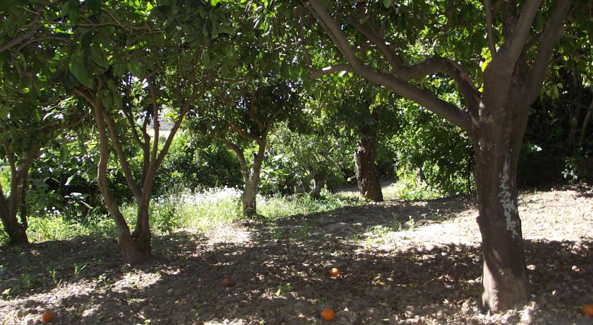 Frutteto, Coltivazioni Bio