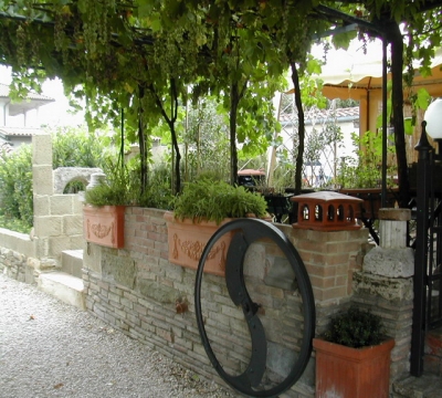 pergorito uva di stagione 