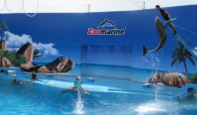 Zoomarine