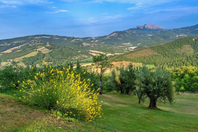 Dormire in Umbria in Appartamenti-Vacanza di Lusso 