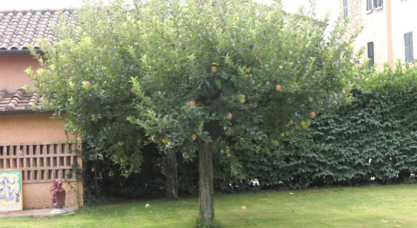 Alberi da frutto