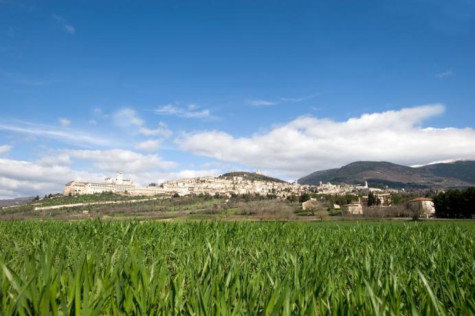 Panorama su Assisi	 