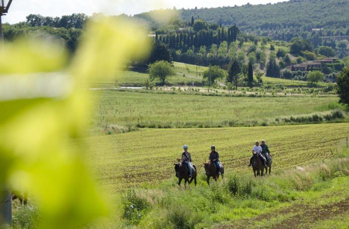 Maneggio cavalli in Agriturismo vicino Perugia 
