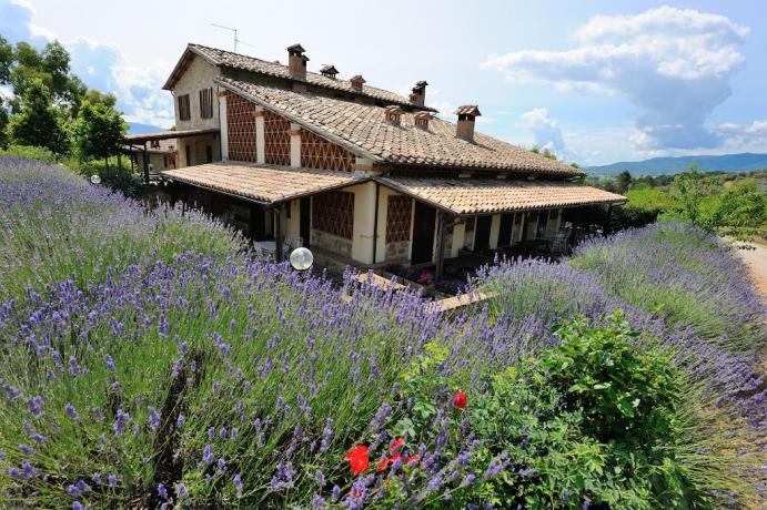 Agriturismo immerso nella natura 