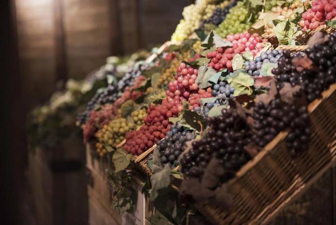 Vacanza in appartamenti, Museo del vino, Toscana,
