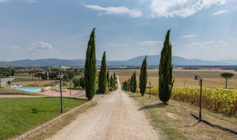 Viale
