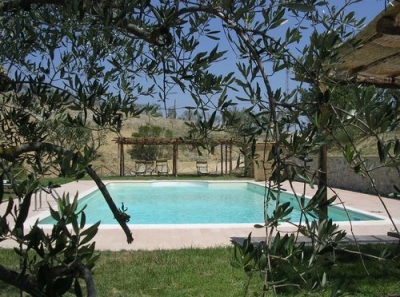 Splendido giardino con piscina estiva 