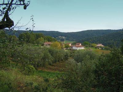 Azienda agricola con bed and breakfast 