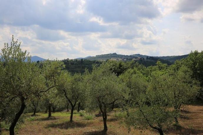 La Campagna intorno alla casa vacanze