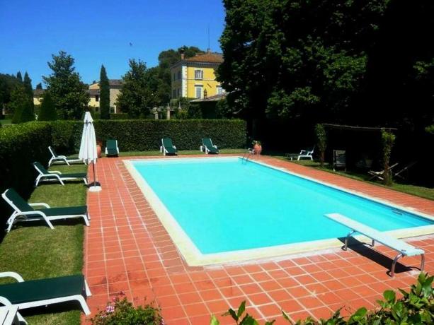 bella piscina con solarium 