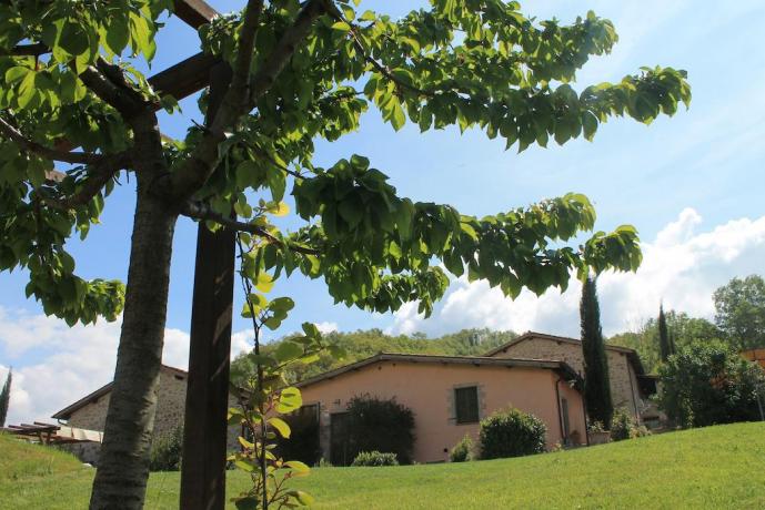 Agriturismo vicino Assisi con giardino