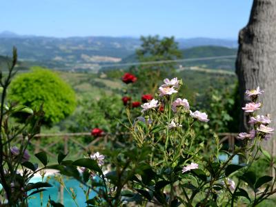 Agriturismo con ristorante Bio: Il Panorama 