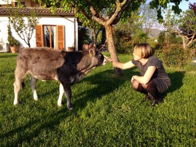 Fattoria didattica in Umbria ideale per famiglie 