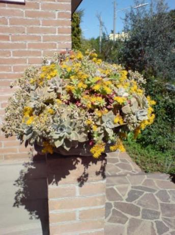 Dettaglio esterno del B&B