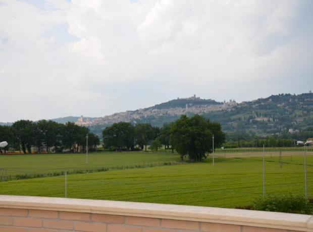 Affittacame Assisi B&B con vista sul Monte Subasio