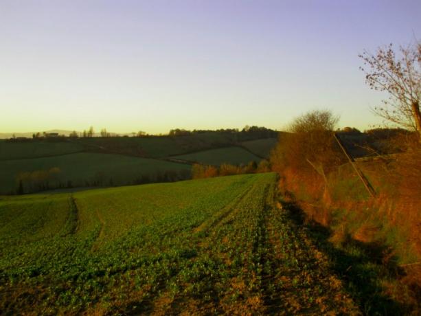 Vista paesaggio umbro a Montone 