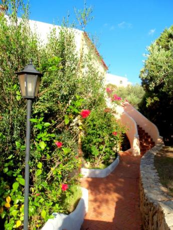Appartamenti residence ingresso indipendente ad Arzachena